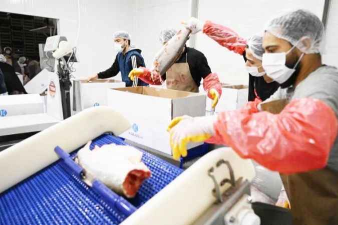 Kayseri’deki Tesiste Günlük 60 Ton Balık İşleniyor