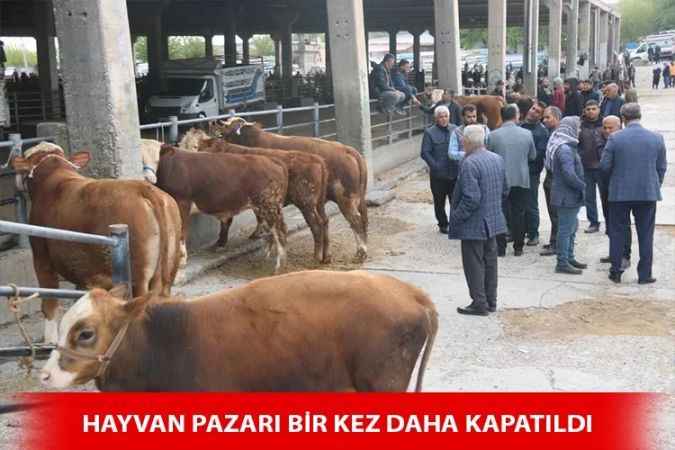 Boğazlıyan Hayvan Pazarı tekrar kapatıldı