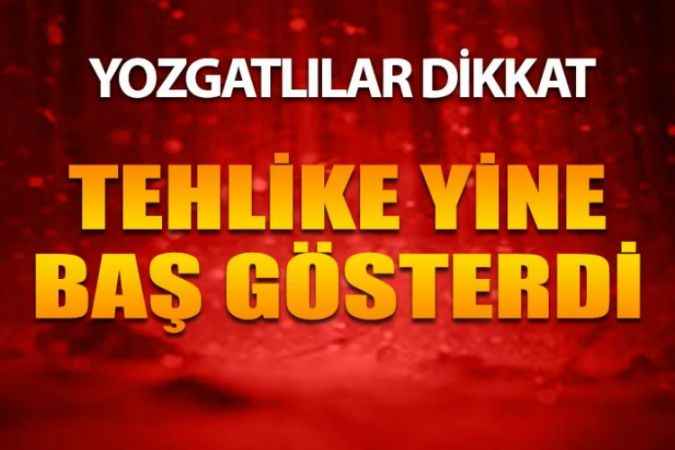Her Mevsimde Yaşayabilen Keneler En Çok Bu İllerde Tehlike Saçıyor