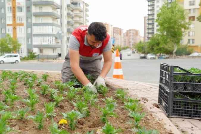 Kayseri Melikgazi’de Kavşaklar Çiçeklerle Süslendi