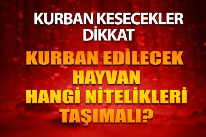 Kurban Edilecek Hayvanlar Hangi Nitelikleri Taşımalıdır?