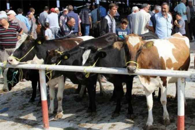 Kurban Bayramı Yaklaşırken Vatandaşta Aklına Takılan Sorularına Cevap Arıyor