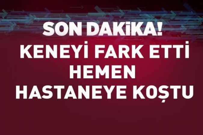 Yozgat'ta da görülen kene, Amasya'da bir kişinin boynuna tutundu. Hastanede çıkarıldı