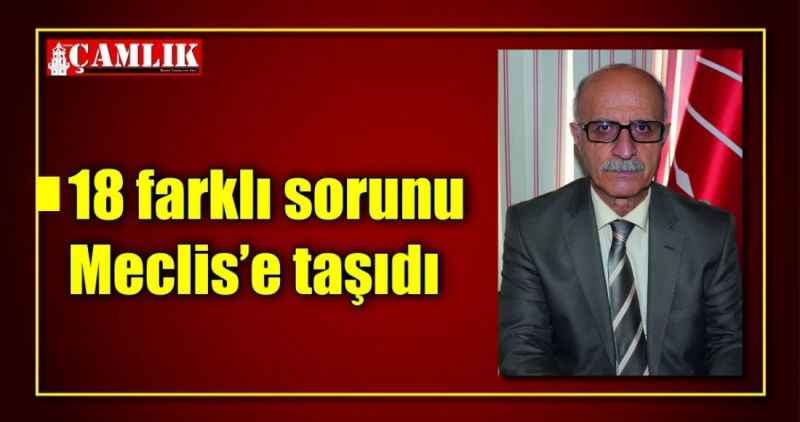 18 farklı sorunu Meclis'e taşıdı