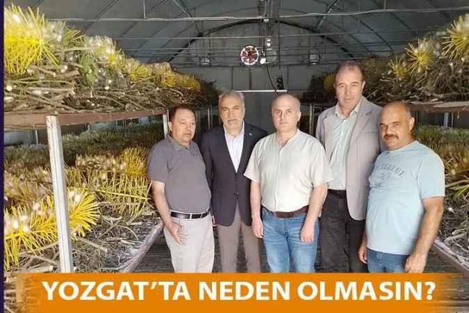 Yozgat Bozok Üniversitesi Rektörü Prof. Dr. Karadağ, İpek böceği üretim tesislerini inceledi