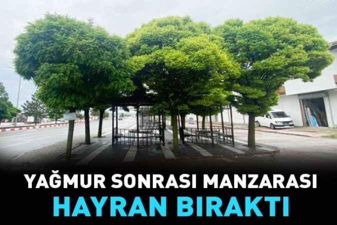 Yağmur sonrası manzarası hayran bıraktı