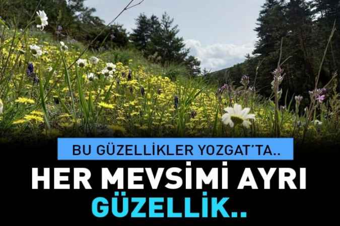 Yozgat'ın Akdağmadeni İlçesi'nde bahar görüntüleri