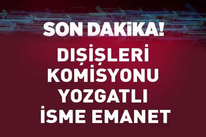 Dışişleri Komisyonu Yozgatlı isme emanet. TBMM Başkanlık Divanı üyeleri belirlendi! Fuat Oktay ve 9 eski bakan komisyon başkanı oldu
