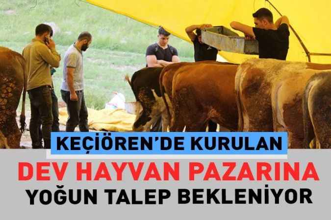 Keçiören Belediyesi tarafından kurulan Bağlum Karşıyaka kurban pazarına ilgi yoğun olacak. 15 Haziran 2023