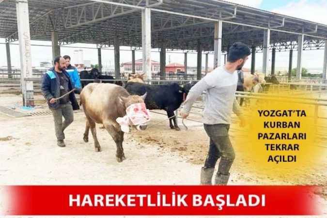 Yozgat’ta Hayvan Pazarları Tekrar Kurulmaya Başladı