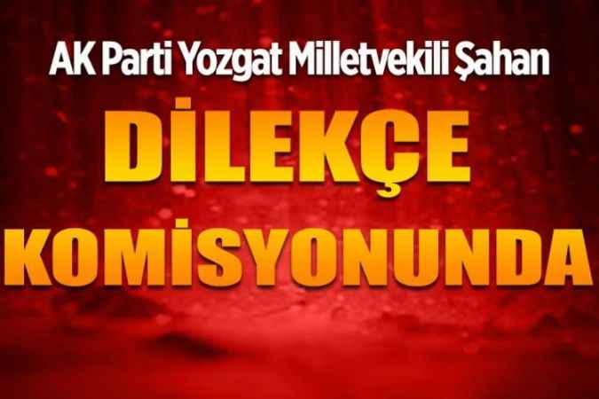 AK Parti Yozgat Milletvekili Süleyman Şahan Dilekçe komisyonunda yer aldı