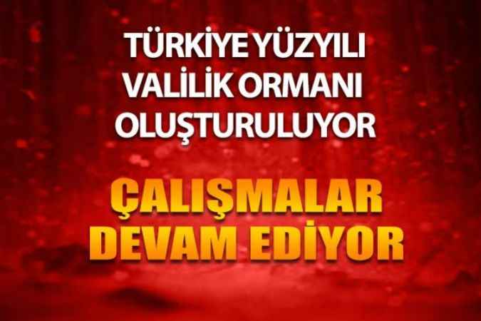 O Şehre Yeni Bir Orman Kazandırılacak