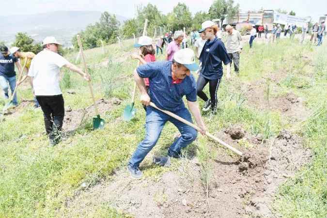 Ankara'nın Kızılcahamam İlçesi'nde bin fidan toprakla buluşturuldu