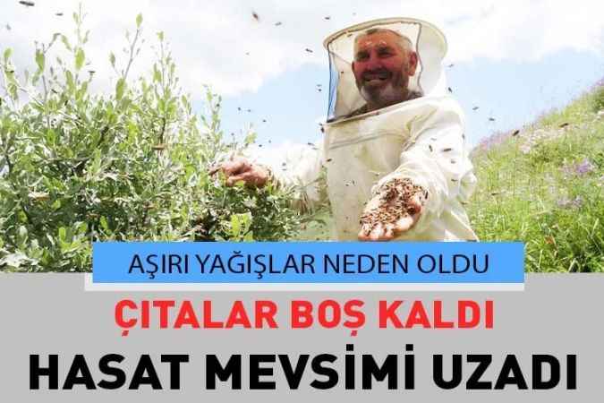 Aşırı Yağışlar Nedeniyle Bal Üretemeyen Arılar Oğul Verdi, Çıtalar Boş Kaldı
