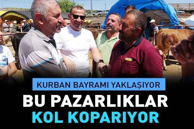 Yozgat'ta Kurban Pazarlarında pazarlıkları devam ediyor