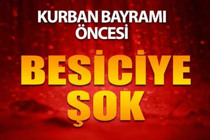 Kurban Bayram'ı Öncesi Besiciye Büyük Şok; 59 Koyunu Telef Etti
