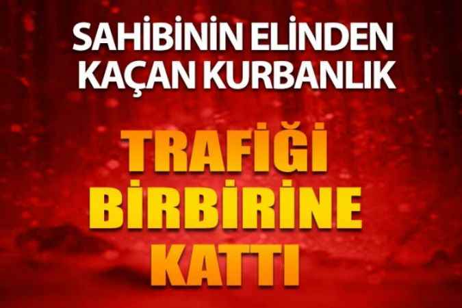 Sahibinin Elinden Kaçtı D-100’ü Birbirine Kattı