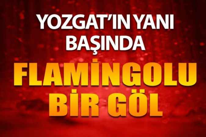 Yozgat’ın Yanı Başında; Muhteşem Manzarasıyla Görenleri Büyülüyor