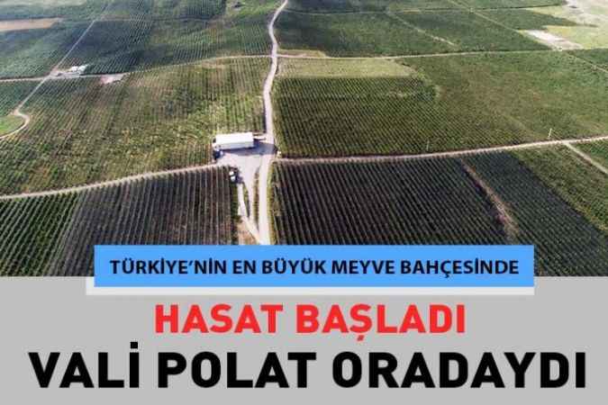 Türkiye’nin en büyük meyve bahçesinde kiraz hasadı başladı.