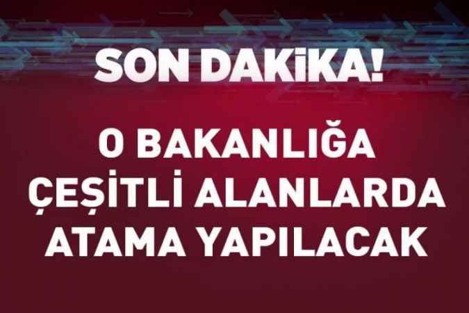 Kamu Kurum Ve Kuruluşlarına 263 Atama Gerçekleştirilecek
