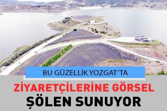 Yozgat’ın Çekerek İlçesinde Bulunan Lavanta Bahçesi Görenleri Büyülüyor