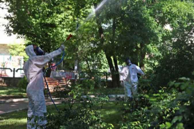 Çankaya Belediyesi Park ve bahçelere Yaz Bakımı Yapıyor