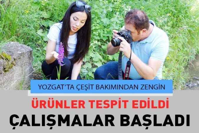 Yozgat’ta 40 Salep Orkidesi Üzerinde Araştırma Yapıldı