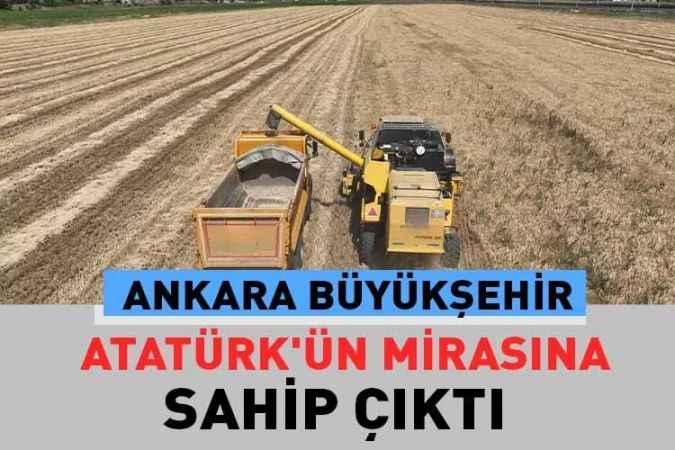 Ankara Büyükşehir Belediyesi, Atatürk orman çiftliğindeki arazilerde tarımsal üretim yapıyor.