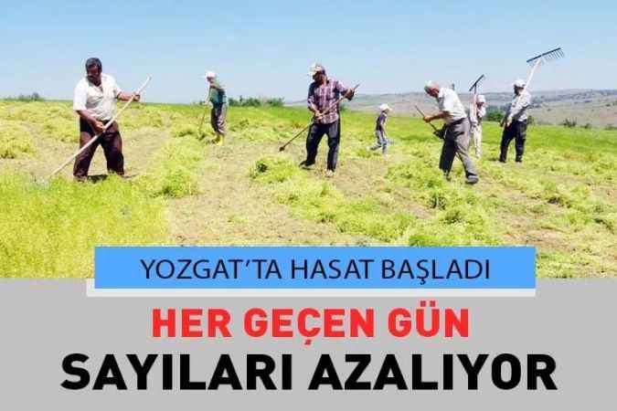Yozgat’ta Tırpan İşçileri İçin Hasat Zamanı Başladı