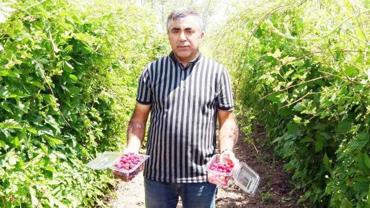 Kanser Başta Olmak Üzere Birçok Derde Deva Hobi Olarak Üretmeye Başlamıştı Şimdi Taleplere Yetişemiyor