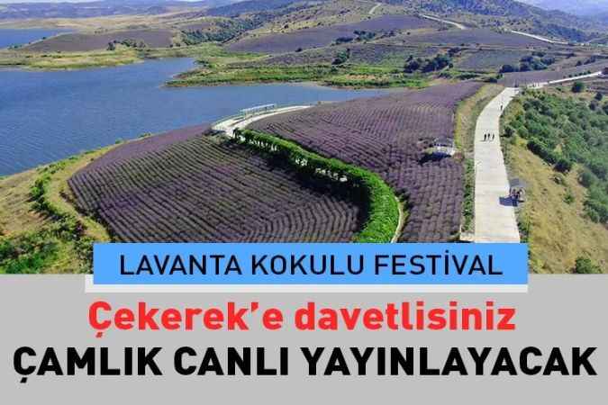 Hafta sonu Çekerek'e davetlisiniz. Lavanta kokulu festival