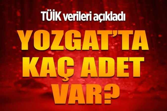 Yozgat'ta kaç araç var?