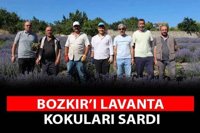 Yozgat'ta lavanta hasadı devam ediyor