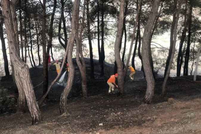 Mangal mı orman mı? Orman yangınlarına davetiye çıkarıyor