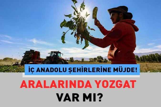 Tarım ve Orman Bakanlığı, temmuz ayı ödemeleri kapsamında 734 milyon TL tutarındaki pancar bakım avans ödemelerini hesaplara yatırdı