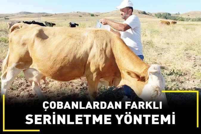 Çobanlardan Sıcak Havada Bunalan Hayvanlara Serinletme Çözümü