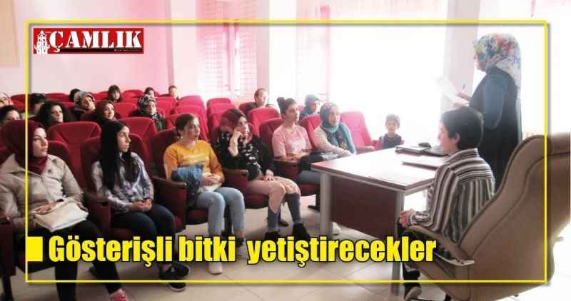 Gösterişli bitki  yetiştirecekler