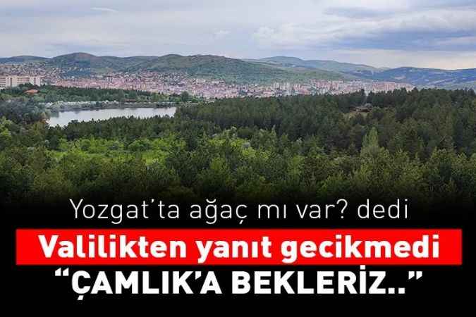 Yozgat’ta ağaç mı var? dedi  Valilik’ten yanıt gecikmedi: Çamlık'a bekleriz..