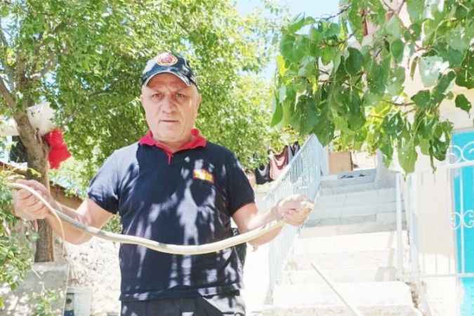 Yine Yılan Yine Panik