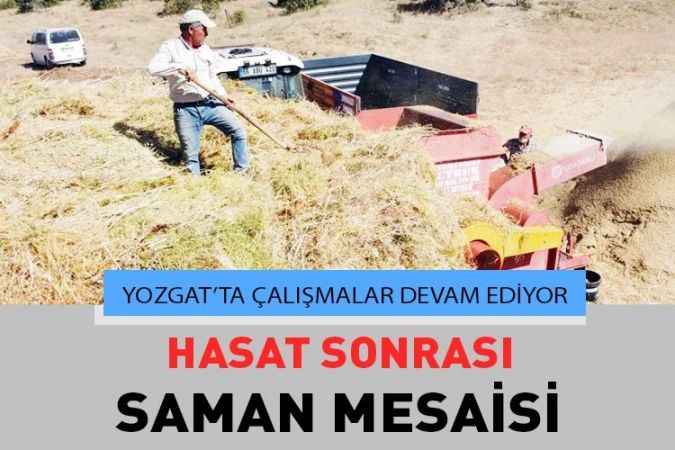 Yozgat’ta yeşil mercimek hasadı sonrası saman mesaisi