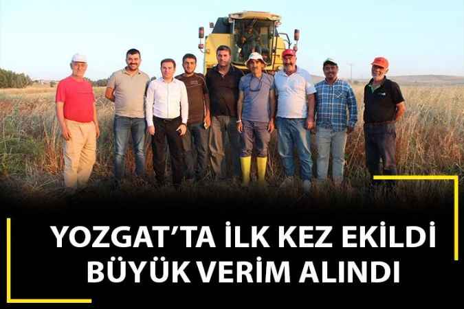 Yozgat Tarım İl Müdürlüğü yeni ürünlerin denemesini yapıyor