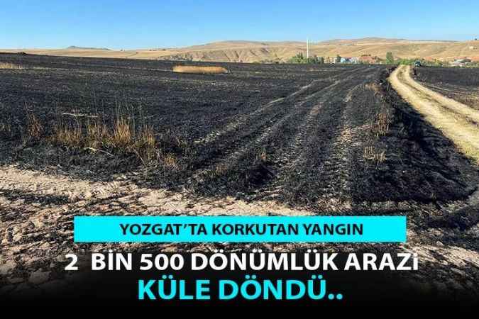 Yozgat'ın Sorgun İlçesi'nde ekili arazi  Yangında kül oldu