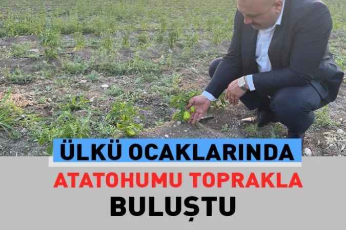 Ülkü Ocaklarında ata tohumu meyve vermeye başladı