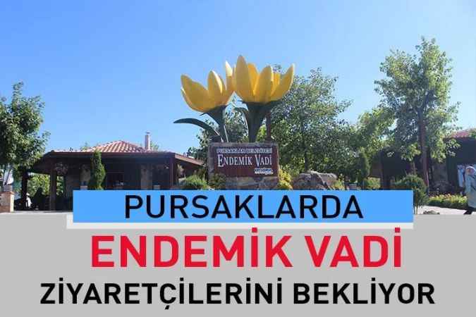 Türkiye’de Bir İlk Pursaklar’da Endemik Vadi