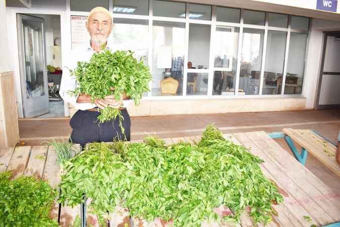 Yozgat'ta taze ürünlere ilgi büyük