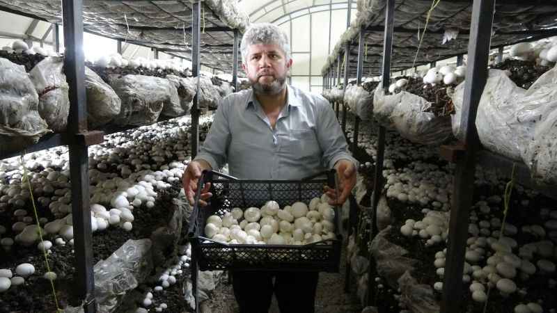 Hobi olarak başladı, kurduğu tesis ile şimdi paraya para demiyor