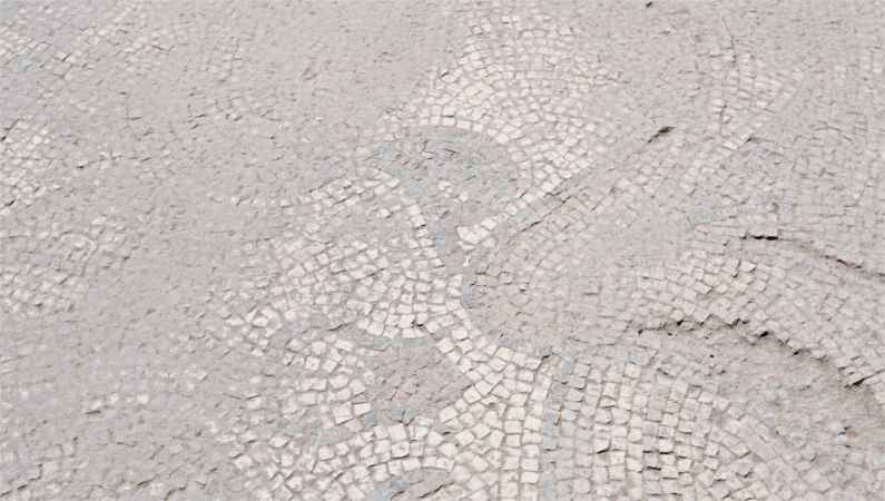 Tarladaki sürpriz keşif, alanda araştırmalar başladı