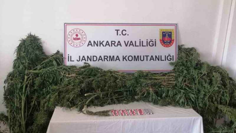 Ankara'da Hobi bahçelerine uyuşturucu operasyonu
