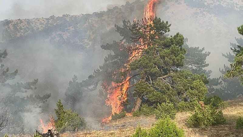Aşırı Sıcakla Gelen Yangınlar