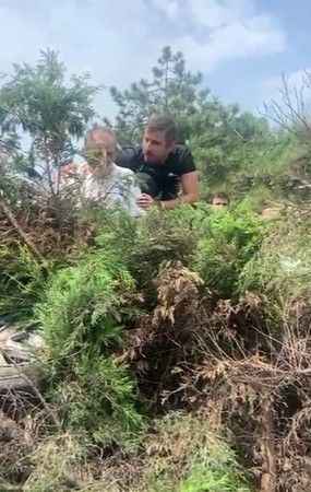 Ağaç Üzerine Devrildi, Yaralı Atlattı
